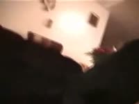Animal sex caught on camera